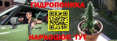 мдпв Партизанск